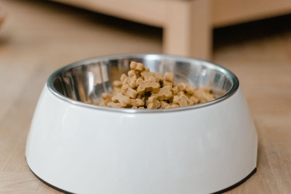Fresh-Thinking Dog Food: Kismet vs Rayne Nutrition